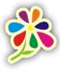 Магазин цветов Флора в Санкт-Петербурге: адреса и телефоны, официальный сайт, каталог товаров