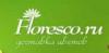 Магазин цветов Floresco.ru в Санкт-Петербурге: адреса и телефоны, официальный сайт, каталог товаров