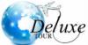 Турфирма Deluxe Tour в Санкт-Петербурге: адреса, телефоны, официальный сайт, отзывы