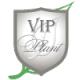 Магазин цветов VIP-PLANT в Санкт-Петербурге: адреса и телефоны, официальный сайт, каталог товаров