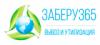Транспортная компания Заберу365 в Санкт-Петербурге: адреса, цены, официальный сайт, отзывы