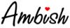 Магазин одежды AMBISH в Санкт-Петербурге: адреса, официальный сайт, отзывы, каталог товаров